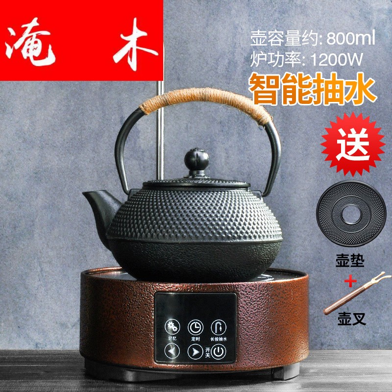 Submerged wood pumping electric TaoLu cast iron tea pot boiled water suit imitation Japan iron tea kettle boil water