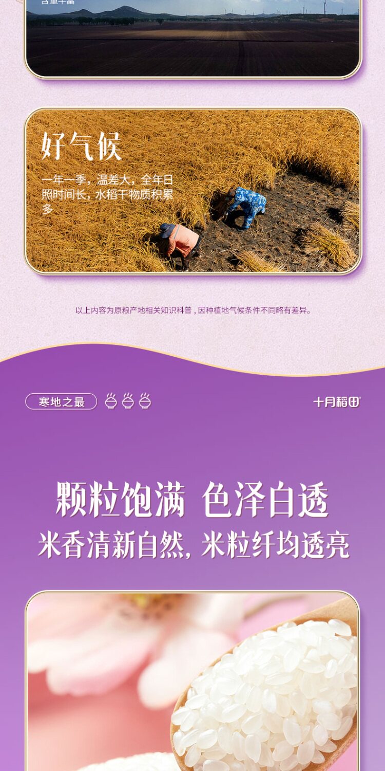 安享好物 安享D级粳米-十月稻田寒地之最香稻贡米 国标 