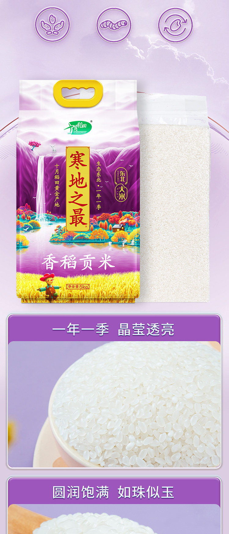 安享好物 安享D级粳米-十月稻田寒地之最香稻贡米 国标 