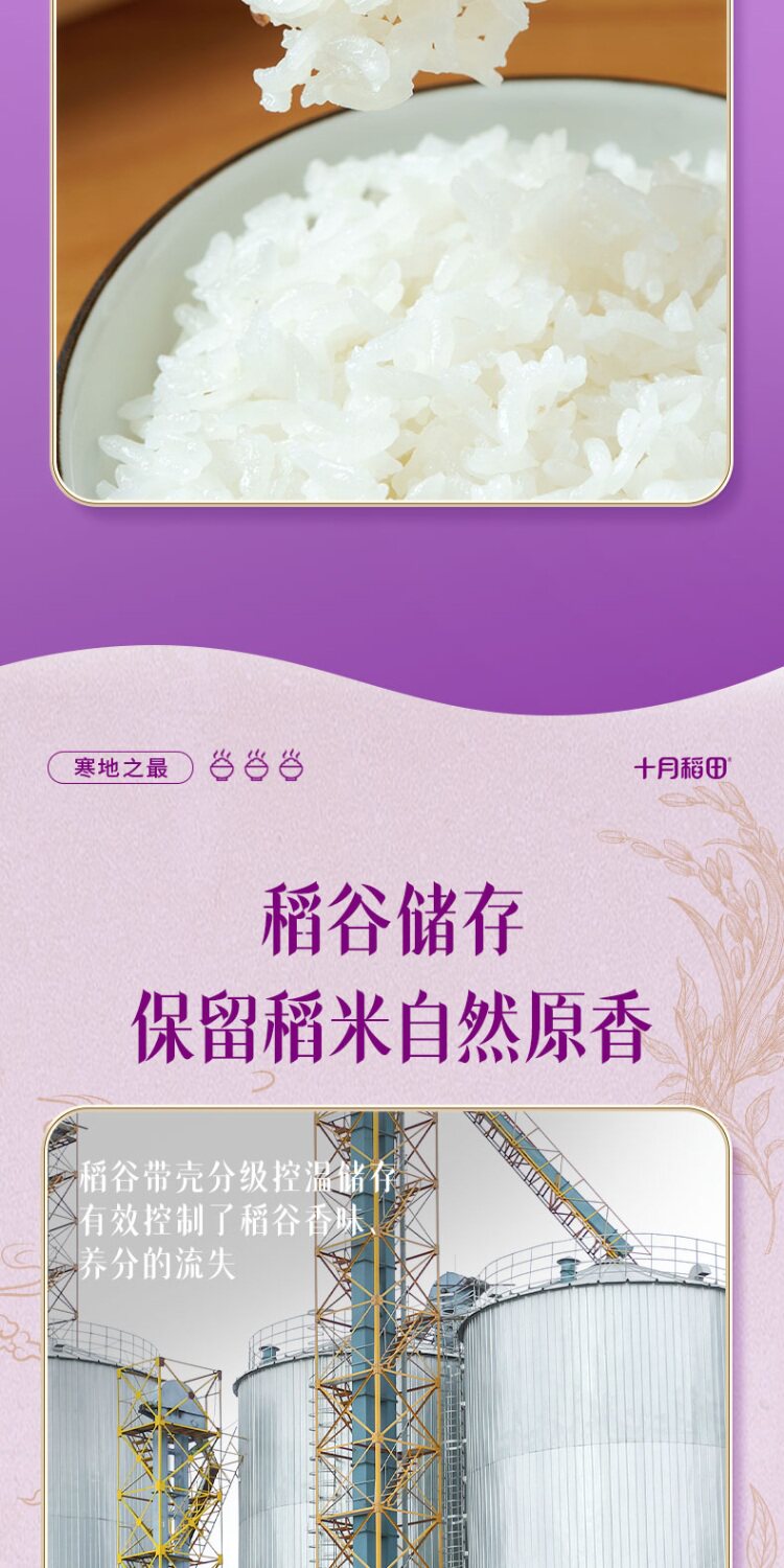 安享好物 安享D级粳米-十月稻田寒地之最香稻贡米 国标 