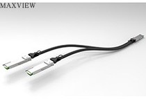 200g Arista QSFP-DD Y Model 10m CAB-D-2Q-200G-1M CBL-10456-20