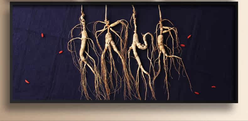 Детали лесного ginseng_16.jpg