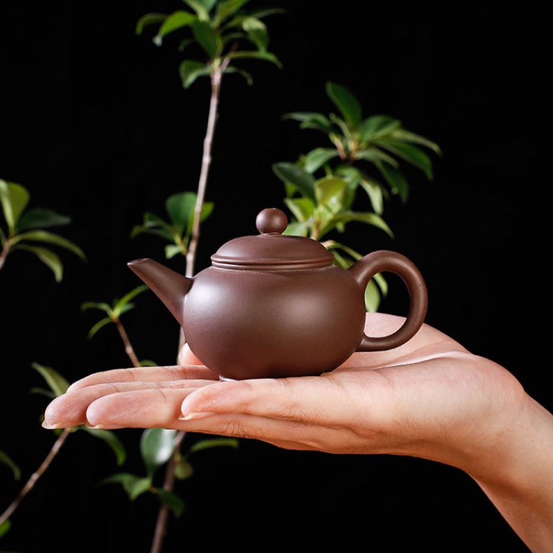 Yixing filtering small manual it zhu xi shi mud pot teapot ceramic flower pot pot pot on sale