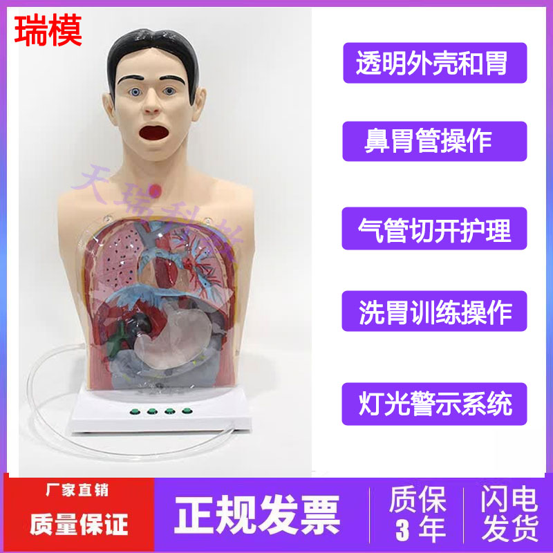 人体洗胃模型 带警示透明洗胃机制模型 胃肠减压训练教学模型医用