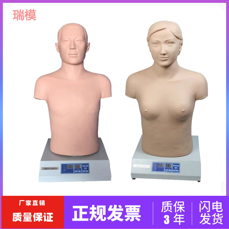 心肺听诊模拟人 医用心脏触诊听诊训练假人体模 胸部体格检查模型