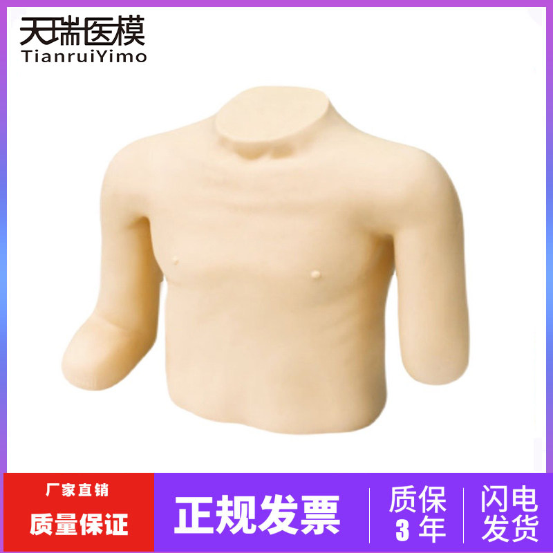 高级高位包扎模型 上肢包扎训练模型 包扎法训练模型  医学教学用