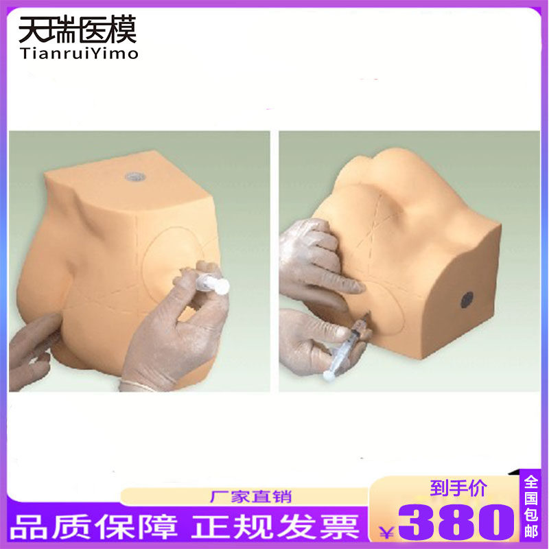 Hip injection model of human hip muscle injection training model of injection medicine teaching model