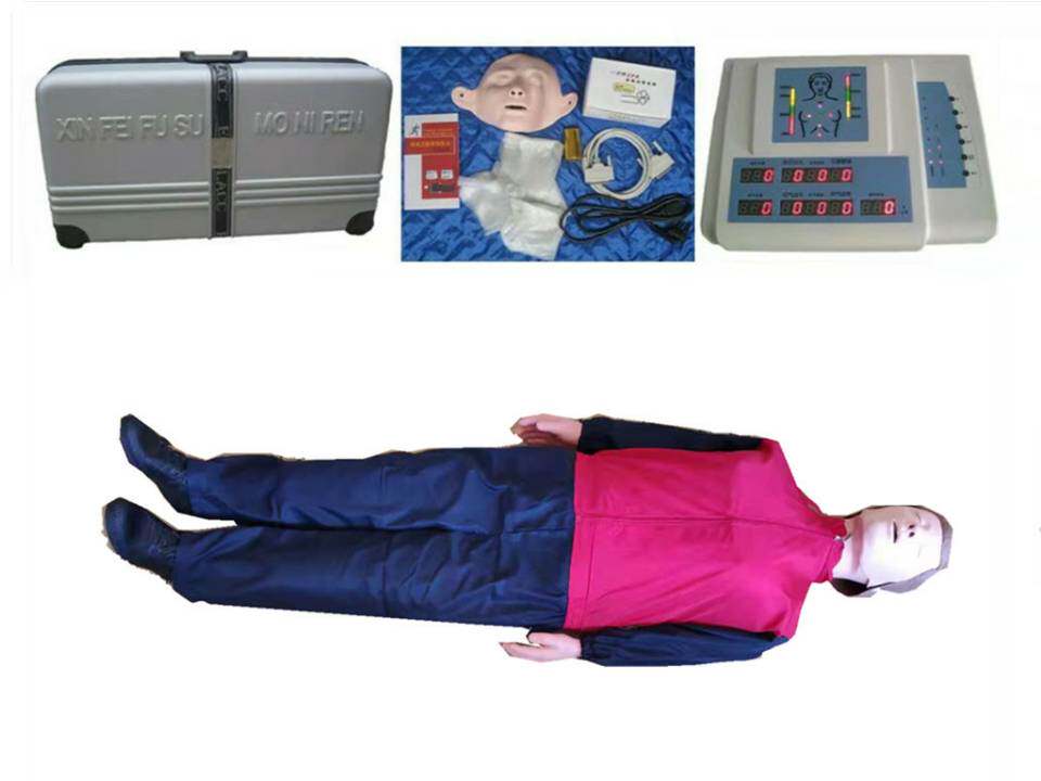CPR360 Cardiopulmonary Resuscitation Simulated Human Cardiac Resuscitation Mannequin