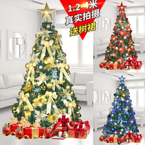Christmas decorations Supplies 1 5 1 8 2 1 2 4 m Luxury encrypted luminous Christmas tree home packages