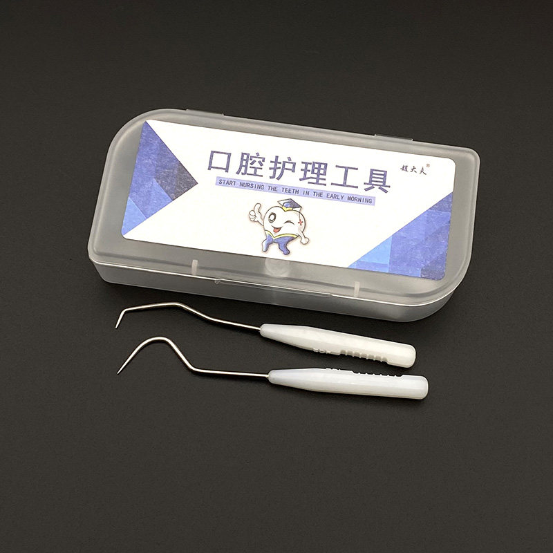 Portable toothpick stainless steel carry-on teeth tool to clean teeth sedener denture needle accommodating box home