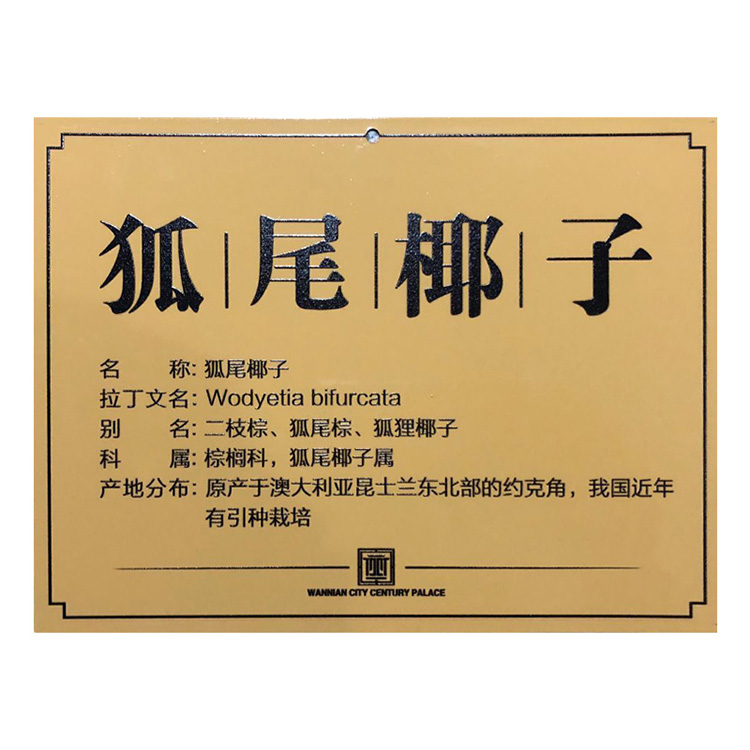 Tùy chỉnh hoa thẻ công viên cỏ cỏ cây xanh cảnh báo thẻ cảnh báo acrylic khẩu hiệu kim loại dấu hiệu nhận dạng - Thiết bị đóng gói / Dấu hiệu & Thiết bị bien canh bao