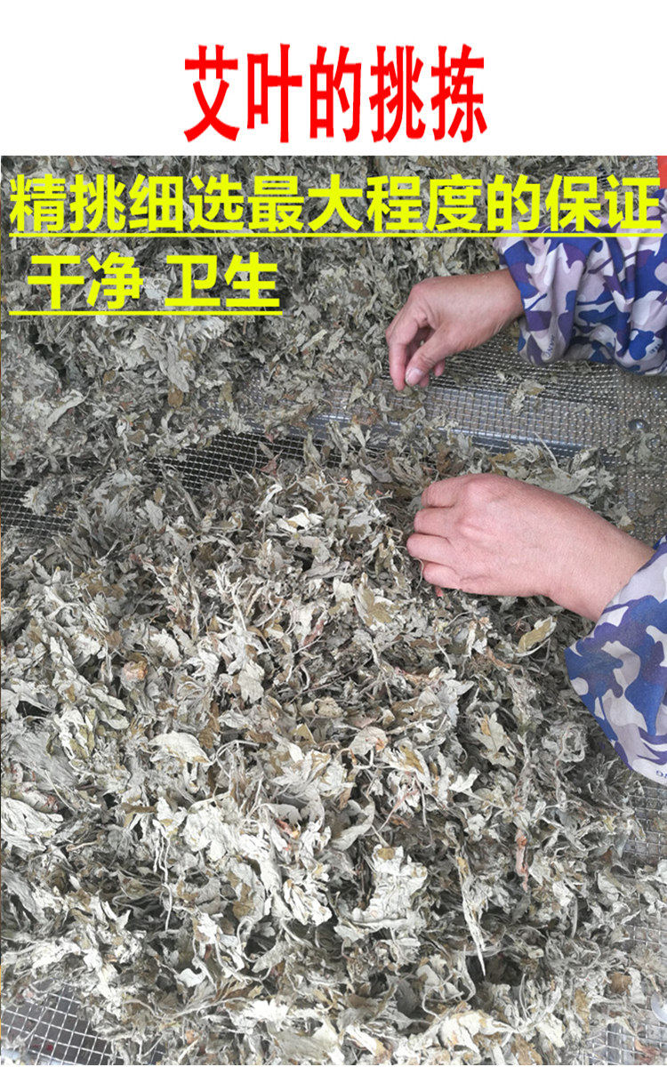 Dried Mugwort Leaf Foot Soak Pack Ai Ye 20g x 30 Bags Traditional External Herbal Bath in use