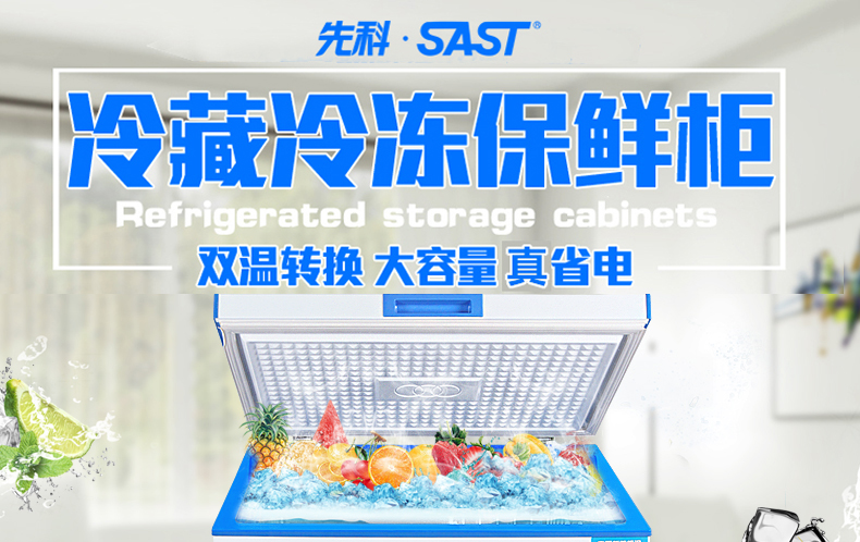 tủ đông sanaky 100l Tủ đông lạnh đơn SAST / SAST BD / BC-178L tủ đông đá