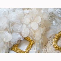 Simulation silver fan High-grade simulation flower home soft decoration shooting props Living room study entrance Floral simulation flower