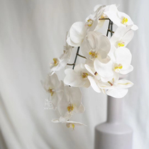 High quality 8 head simulation phalaenopsis soft decoration floral design installation shooting props Home model room