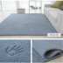 Dày hình chữ nhật phòng khách bàn cà phê thảm phòng ngủ thảm cửa sổ và phòng tatami giường thảm đầy đủ các cửa hàng có thể được tùy chỉnh - Thảm thảm trải sàn nhà Thảm