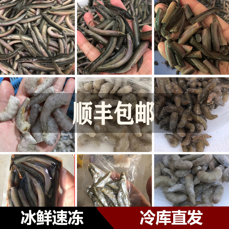 Feed Fish Frozen Red Dragon Feed Frozen Fish Fish Feed Northeast Forest Frog Feeding Fish Food Jelly Loach Frozen Shrimp Fish Food