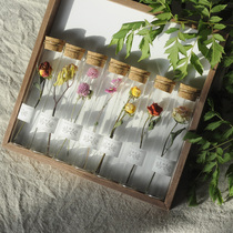 Hand-made natural field garden Plant specimen Test tube Dried flowers Eternal life flowers Creative gifts Forest department souvenirs