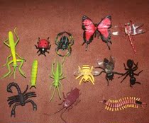 Insect model toy ornaments Spider butterfly caterpillar and other 13 full packages