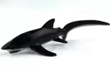 Arrival animal model American toy animal S marine animal animal model shark toy thresher shark