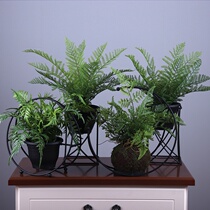 Yongyue home new Chinese style creative indoor simulation green plant pot iron fake flower plant bonsai ornaments decoration