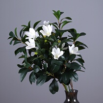 Yongyue home simulation flower green plant ornaments evergreen leaves Eucalyptus with grass leaves wire Lotus small Zou Chrysanthemum