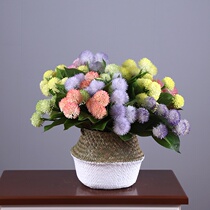 Yongyue home Nordic simple simulation green plants fake flowers small bouquet Home decoration coffee table decoration meat ball