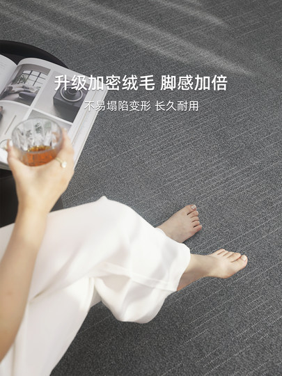 Living Room Carpet 2026 New Model Light Luxury High-End Solid Color Sofa Mat Easy Care Home Bedroom Bedside Soundproof