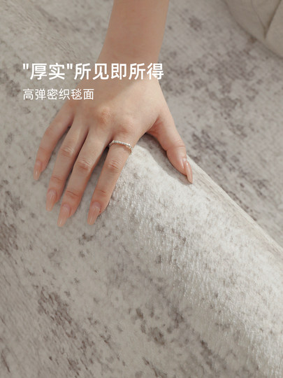 Removable and Washable Living Room Carpet 2026 New Model Double-Layer Machine Washable Modern Simple No-Wash Wipeable Home Soundproof Floor Mat