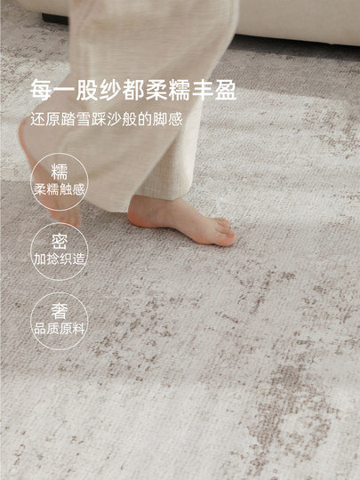 Removable and Washable Living Room Carpet 2026 New Model Double-Layer Machine Washable Modern Simple No-Wash Wipeable Home Soundproof Floor Mat