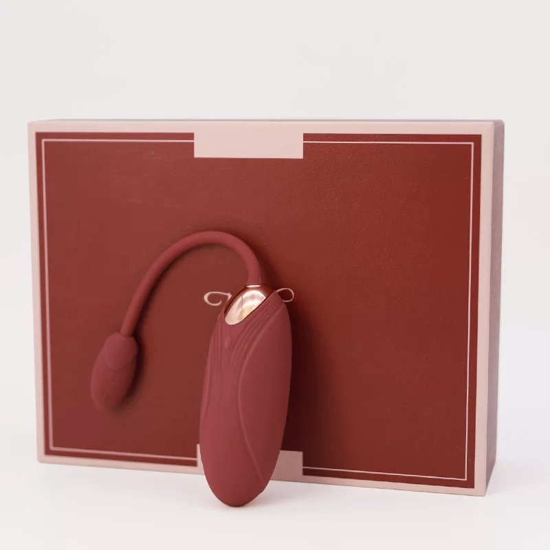[Rechargeable Wireless Vibrator Panties Sex Toys for Women]