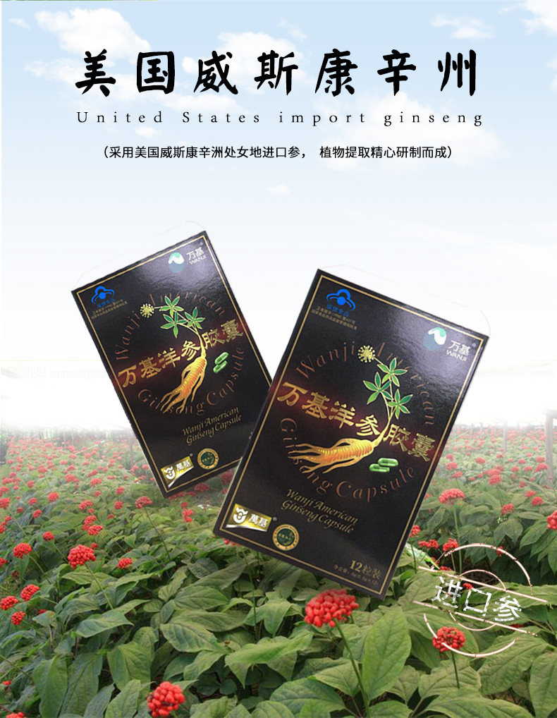 万基 美国进口西洋参 洋参胶囊156粒 提高免疫力 图3