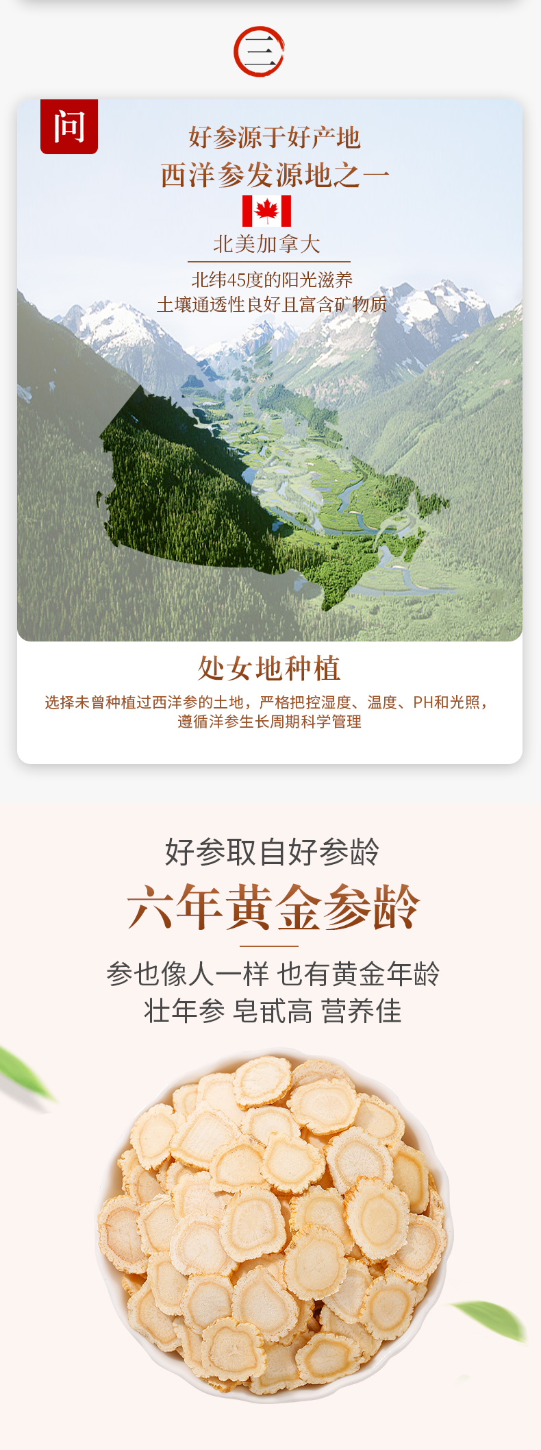 万基 加拿大进口西洋参片 花旗参切片 50g 图7