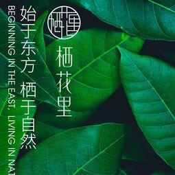 轻素栖花里美妆店的LOGO