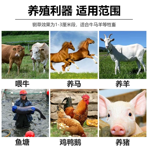 Бытовая косилка для сухого и влажного сена двойного назначения с измельчением и разминанием Все для разведения и кормления 𫗭 небольшой траворез для крупного рогатого скота и овец, газонокосилка