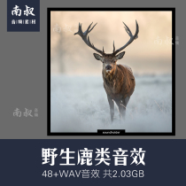 Burya Rain Library rain sound effects natural rainy days film and video games Film sound material Business