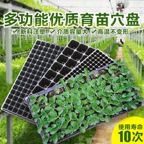 Cultivating seedlings and succulents Flower plate thick vegetable breeding square containing flower box home large pot sprouts