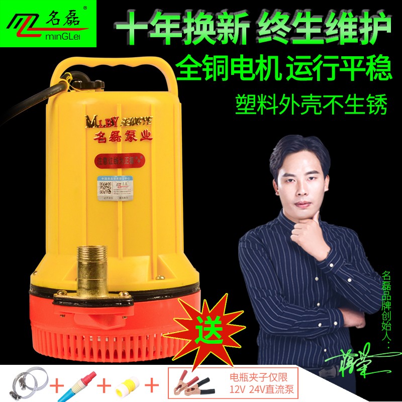 Name Lei Plastic DC submersible pump 12V Water pump 48V60V Electric car pumping water pump Home small water pumping