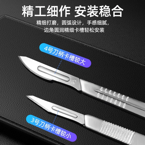 Универсальное лезвие из нержавеющей стали, анатомия