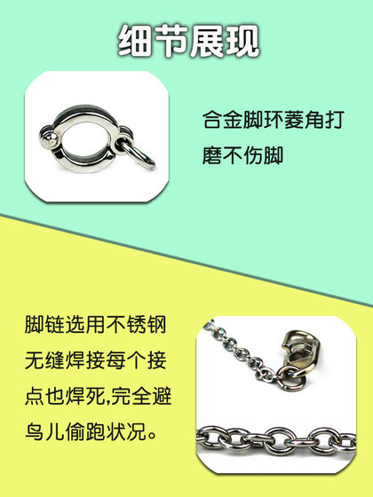 Stainless steel parrot anklet tiger skin peony Xuanfeng starling mynah bird stand frame opening foot ring supplies utensils tied bird