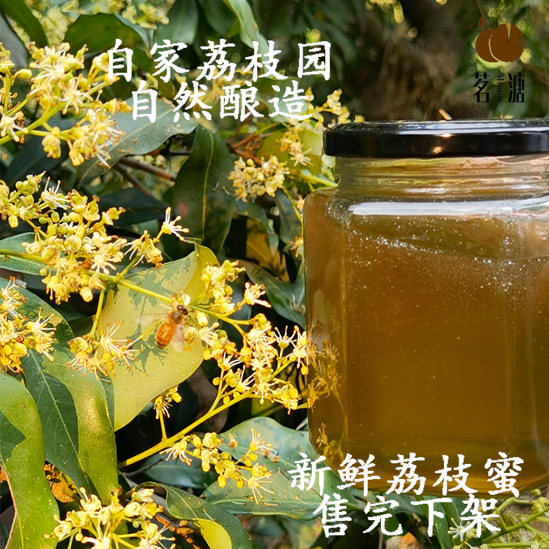 Honey 22 years fresh lychee honey pure natural farmhouse self-produced wild 500g portable squeeze bottle Dongguan specie