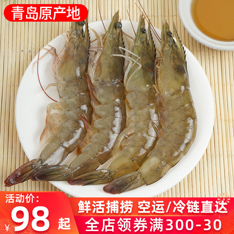 Fresh ShrimpQingdao Prawn SeafoodAquatic Fresh Super Large Shrimp Sea Shrimp Frozen ShrimpFresh ShrimpQuick-frozen Iced Shrimp