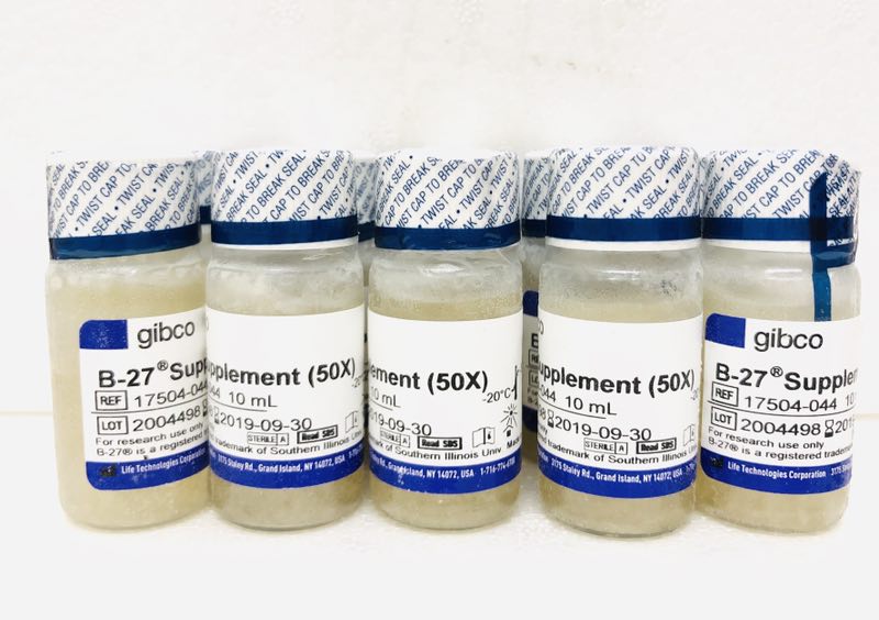 B-27 17504044 of 50X 17504044 without serum additive 50X