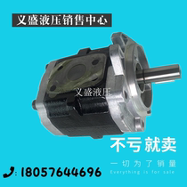 Japan KYB gear pump KZP4-17CPN 19CPN 19CPN KZP4-27CPN KZP4-27CPN gear pump