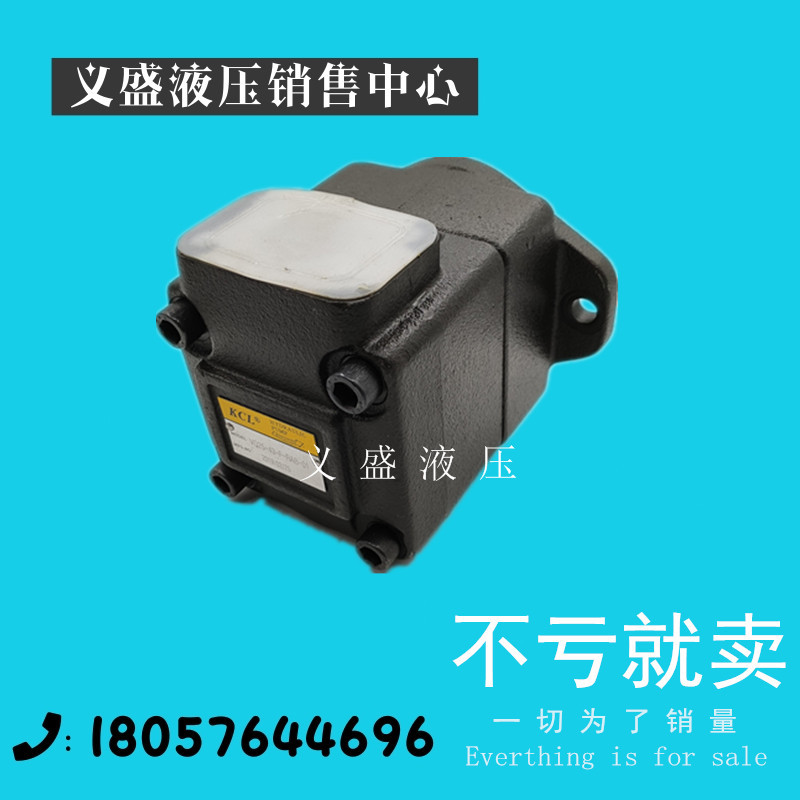 DVQ20-14-F-RAR-03 Kegia KCL high-pressure oil pump imported oil pump hydraulic oil pump