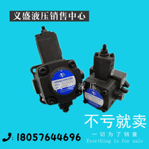 Ningxia Yinchuan Great Wall hydraulic pump vane pump VPC-20 15 12 30 40-7 40-7 5 40-7 3 0 5 5 2 0