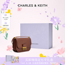 Сумка charles&keith2020冬新品ck2-80781400女士金属单肩腋下包豆腐包