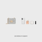 CHARLES&KEITH Блестки для ногтей, сумка на одно плечо, сумка через плечо