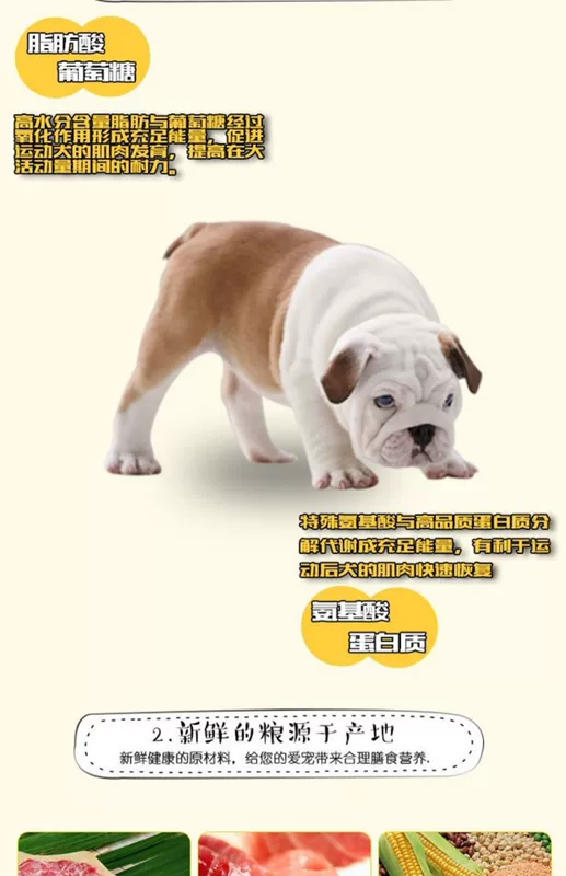 Marseille Royal Dog Food Thức ăn cho chó đặc biệt dành cho chó Bull trưởng thành 20kg Thức ăn chủ yếu tự nhiên có nguồn gốc từ Pháp - Chó Staples