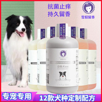 Snow Sculpture Snowy Ferret Dog Body Wash with Bath Dew Side Pasta Teddy Bib Bears Gold Mullabrador Special Pet Bath